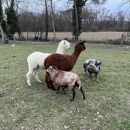 Kemping La Roulotte A Papa